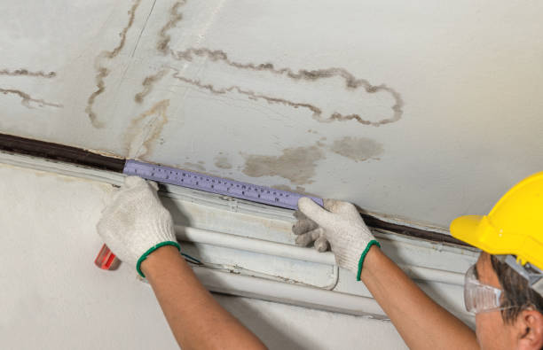 Reliable Basement Flood Cleanup contractor in Everett, WA by Aqua Guard Water Damage